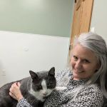 Countryside Veterinary Clinic