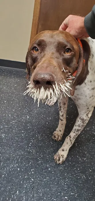 Countryside Veterinary Clinic Picture 3