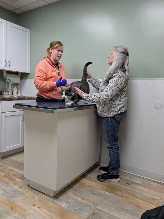 Countryside Veterinary Clinic Picture 2