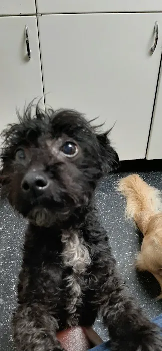 Countryside Veterinary Clinic Picture 5