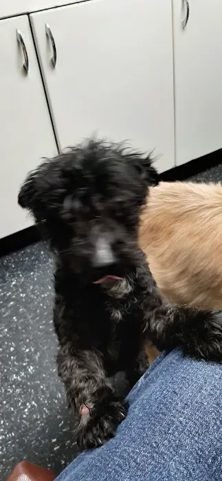 Countryside Veterinary Clinic Picture 6