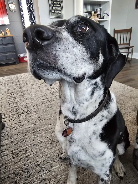 Clay Center Critter Care Picture 2