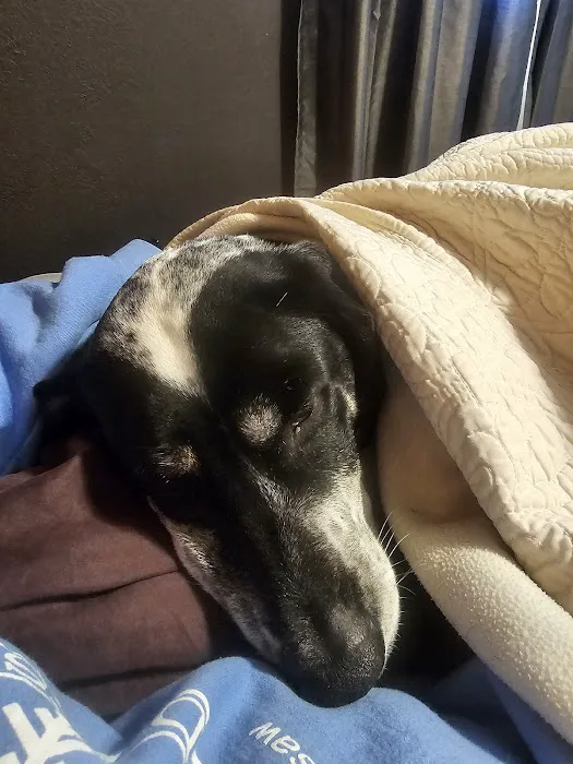 Clay Center Critter Care Picture 4