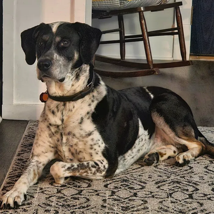 Clay Center Critter Care Picture 6