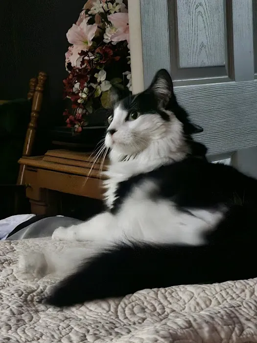 Clay Center Critter Care Picture 3