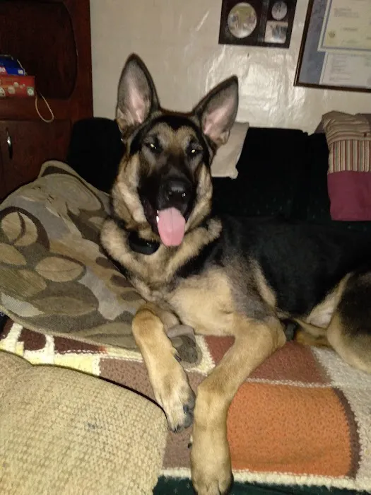 Clay Center Critter Care Picture 5