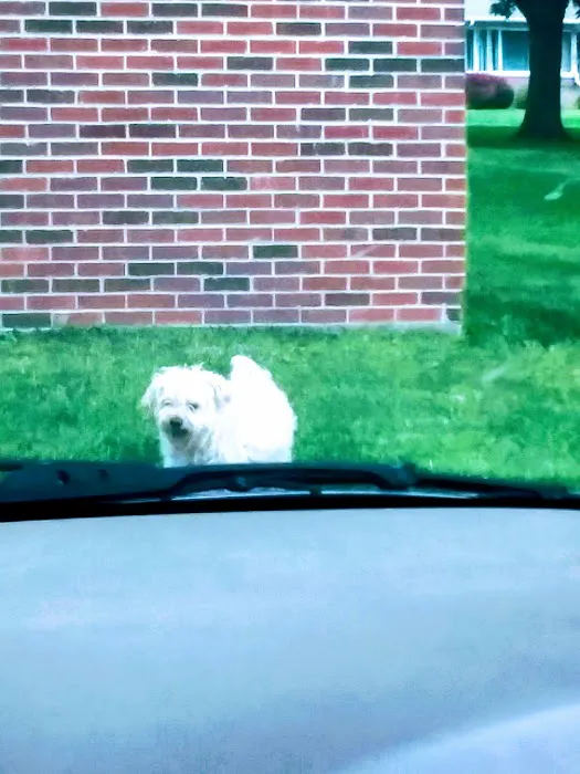 Clay Center Critter Care Picture 7