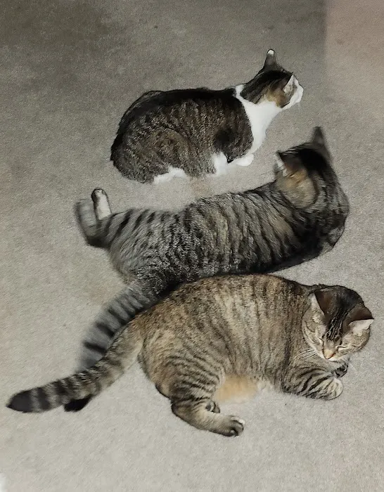 Aurora Veterinary Clinic Picture 2