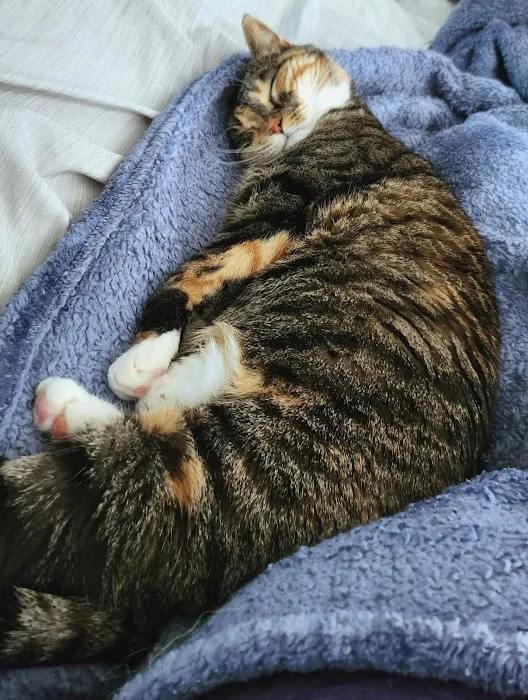 Aurora Veterinary Clinic Picture 4