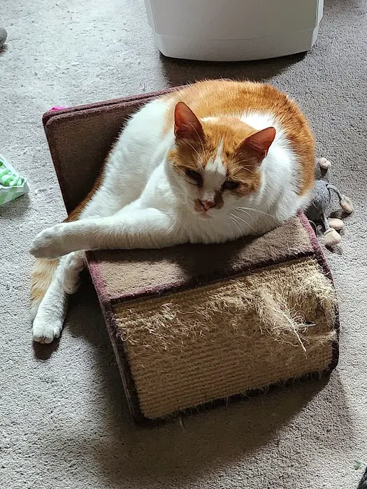 Aurora Veterinary Clinic Picture 7