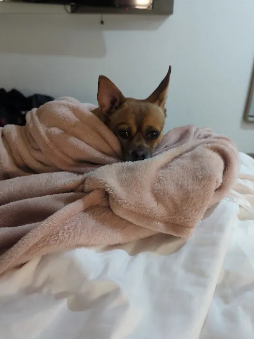 Aurora Veterinary Clinic Picture 9