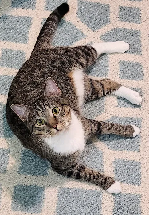 Aurora Veterinary Clinic Picture 8