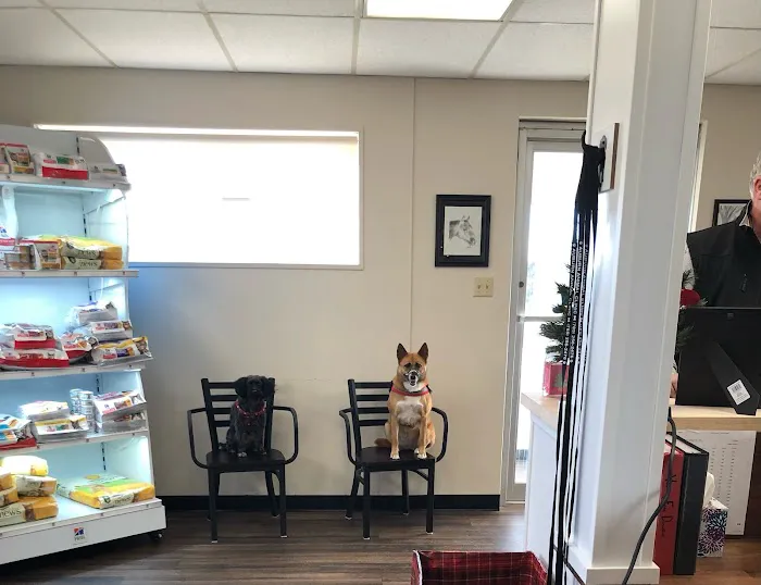 Auburn Animal Clinic Picture 2