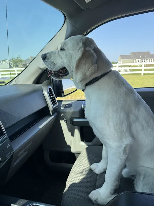 Auburn Animal Clinic Picture 5