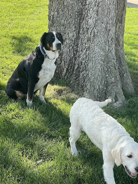 Auburn Animal Clinic Picture 7