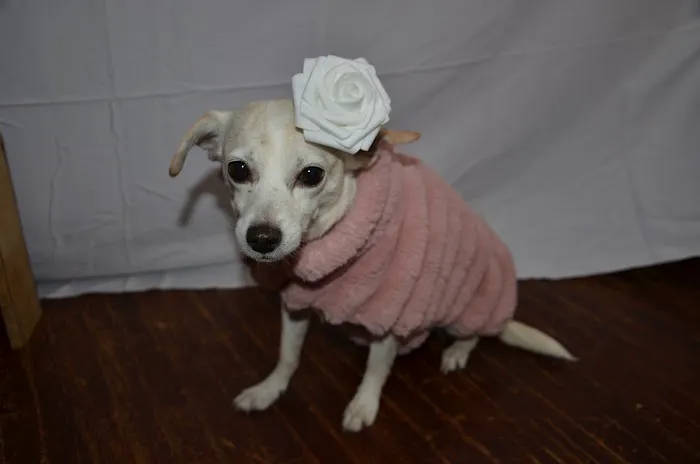 Bern-Sabetha Veterinary Clinic Picture 1