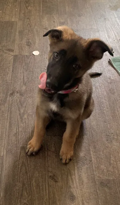 Bern-Sabetha Veterinary Clinic Picture 6