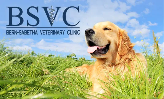 Bern-Sabetha Veterinary Clinic Picture 3