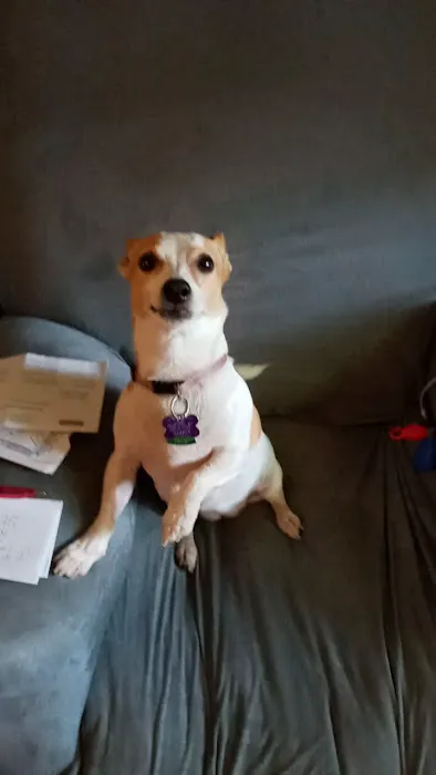 Animal Health Center Picture 2