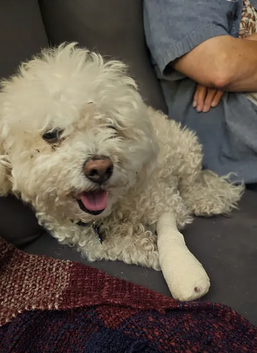 Nek Veterinary Services Group Picture 4