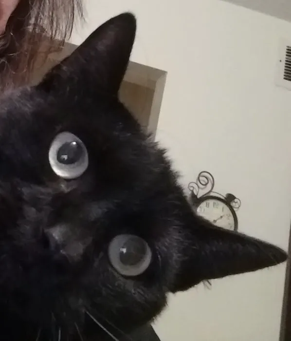 Nek Veterinary Services Group Picture 8