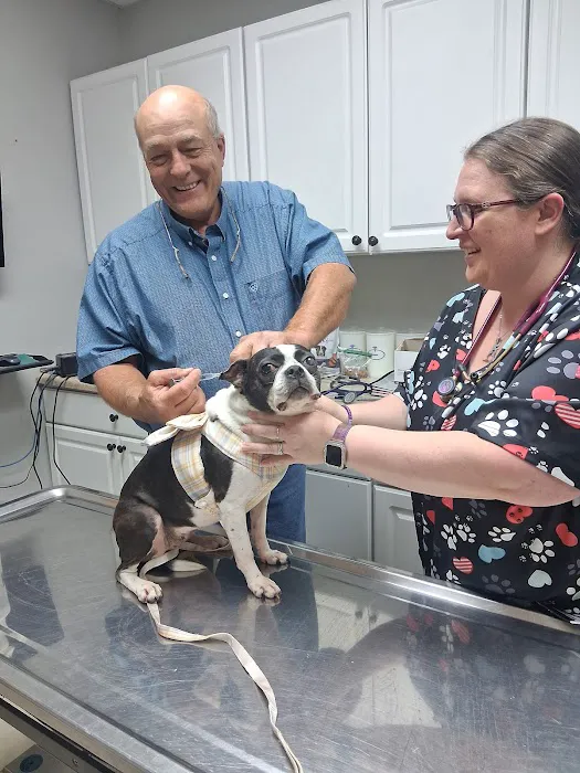 Nek Veterinary Services Group Picture 6