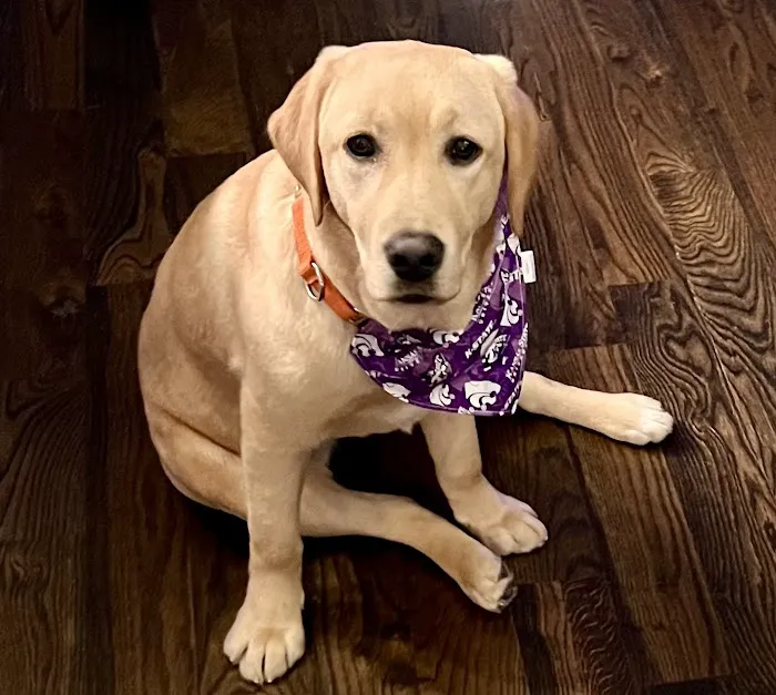 Deer Creek Animal Hospital Picture 1