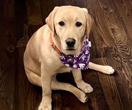 Deer Creek Animal Hospital