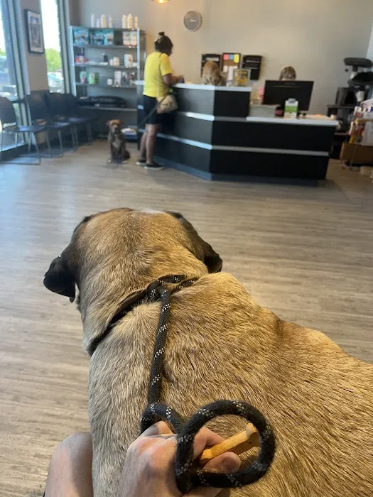 Deer Creek Animal Hospital Picture 3