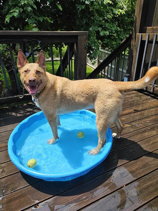 Deer Creek Animal Hospital Picture 7