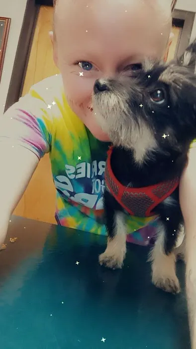 Willard Veterinary Hospital Picture 1