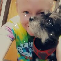 Willard Veterinary Hospital ico