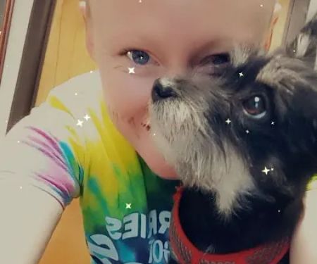 Willard Veterinary Hospital