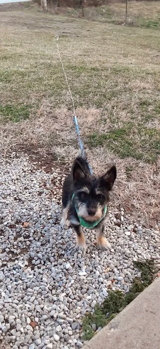 Willard Veterinary Hospital Picture 2