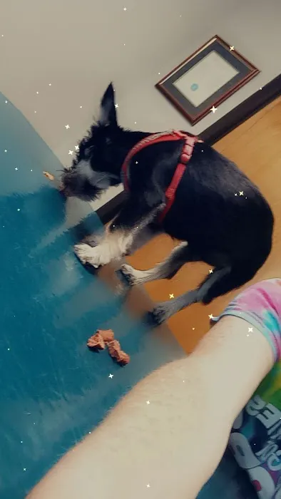 Willard Veterinary Hospital Picture 5