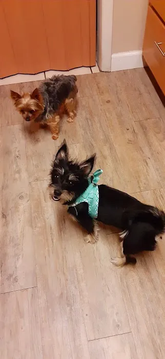 Willard Veterinary Hospital Picture 7