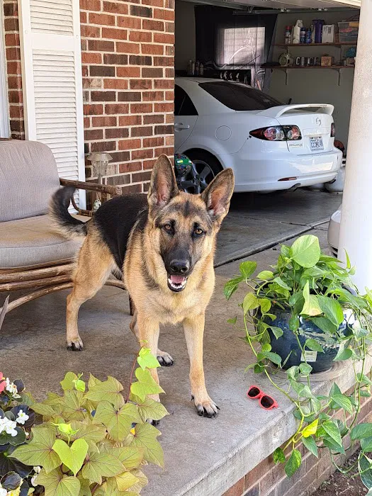 WillardTown & Country Small Animal Hospital Picture 1