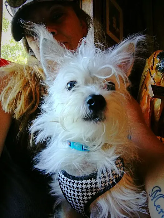 WillardTown & Country Small Animal Hospital Picture 5