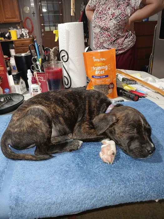 WillardTown & Country Small Animal Hospital Picture 8