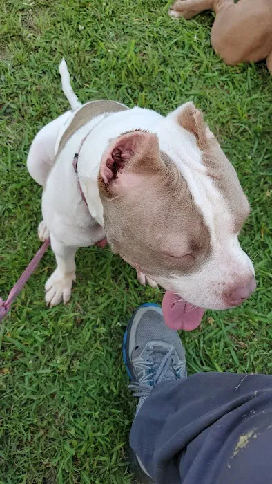 WillardTown & Country Small Animal Hospital Picture 6