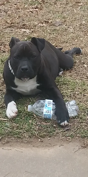 WillardTown & Country Small Animal Hospital Picture 10