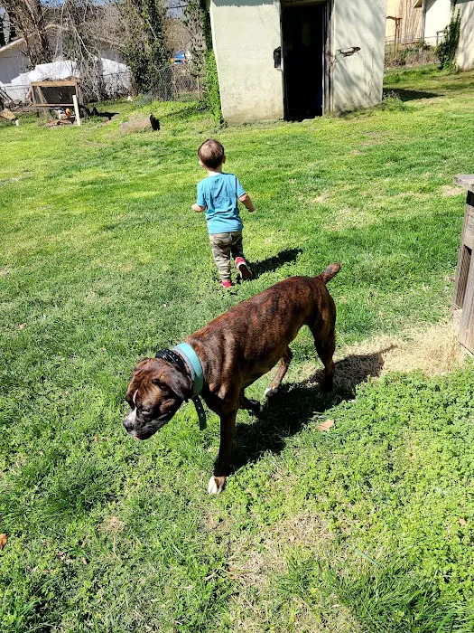 WillardTown & Country Small Animal Hospital Picture 9