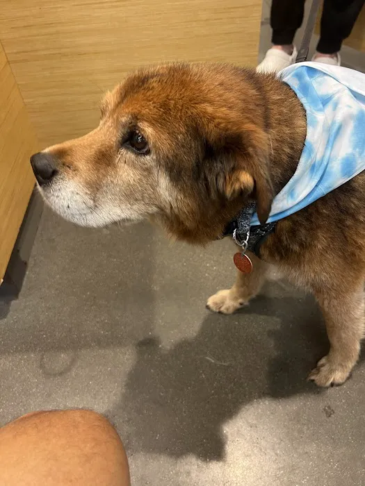 All Creatures Pet Hospital Picture 4