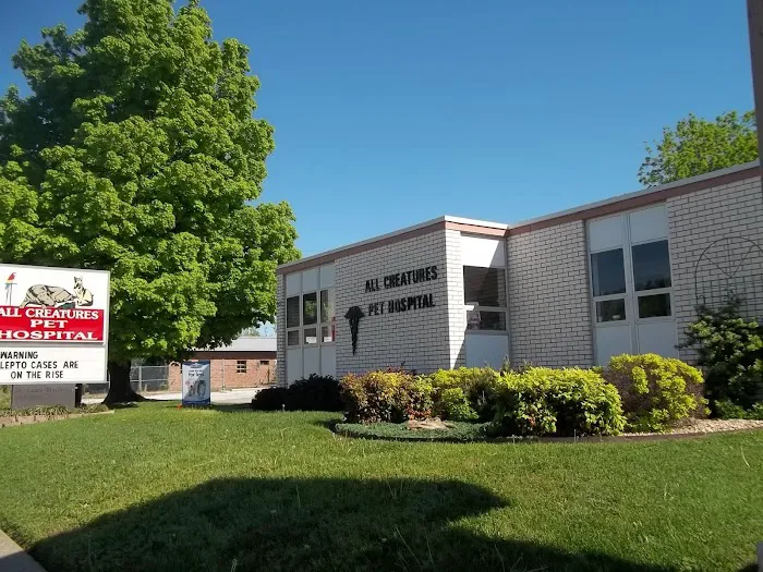 All Creatures Pet Hospital Picture 2