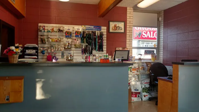 Blackburn L D DVM Picture 1