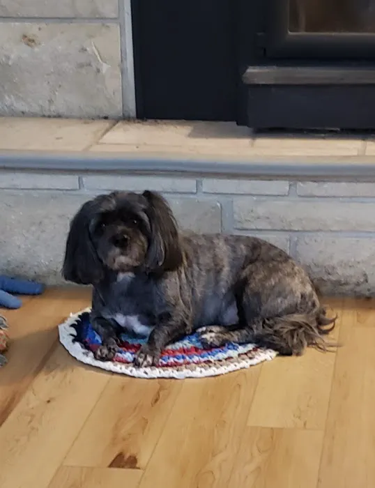 Blackburn L D DVM Picture 7