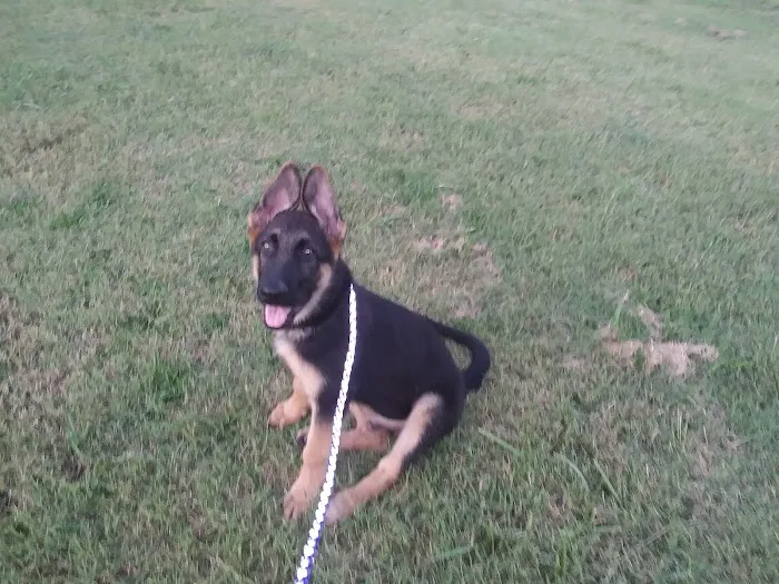 North Side Animal Clinic Picture 4