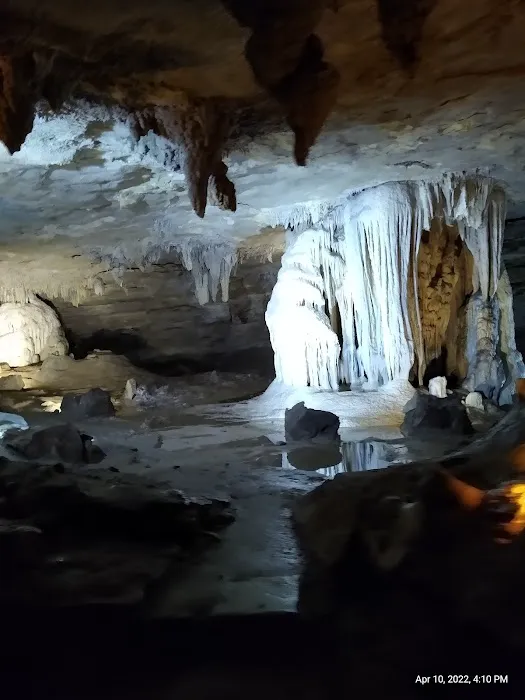 North Side Animal Clinic Picture 2