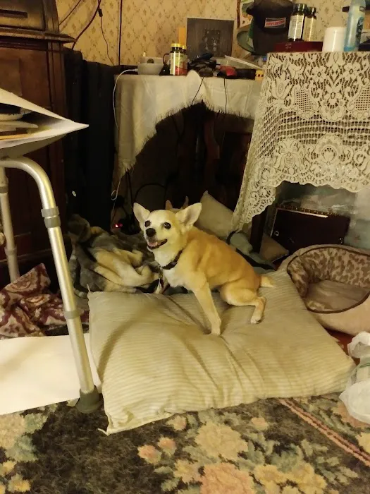 North Side Animal Clinic Picture 5