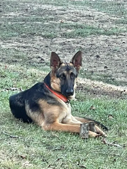 North Side Animal Clinic Picture 3